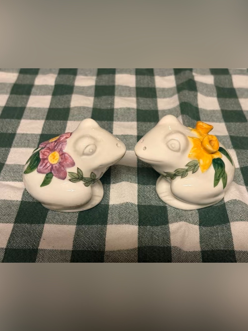 Ceramic frog salt and pepper shakers